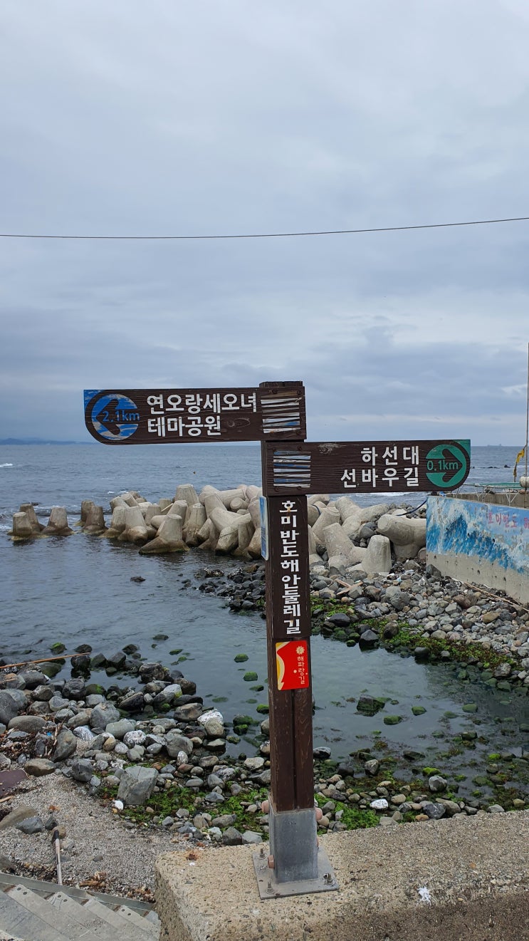 [경북 포항] 푸르른 동해바다를 낀 호미반도 해안 둘레길