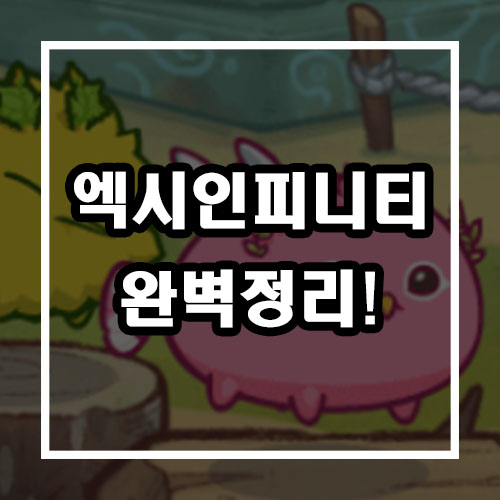  엑시인피니티 총정리 (코인, 게임 등)