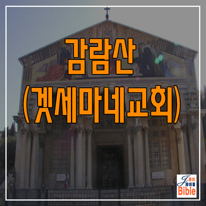  이스라엘 감람산 겟세마네교회 - (랜선 여행)