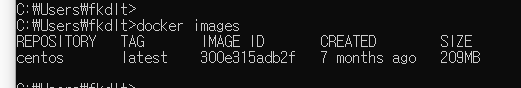  [Docker] Docker 란