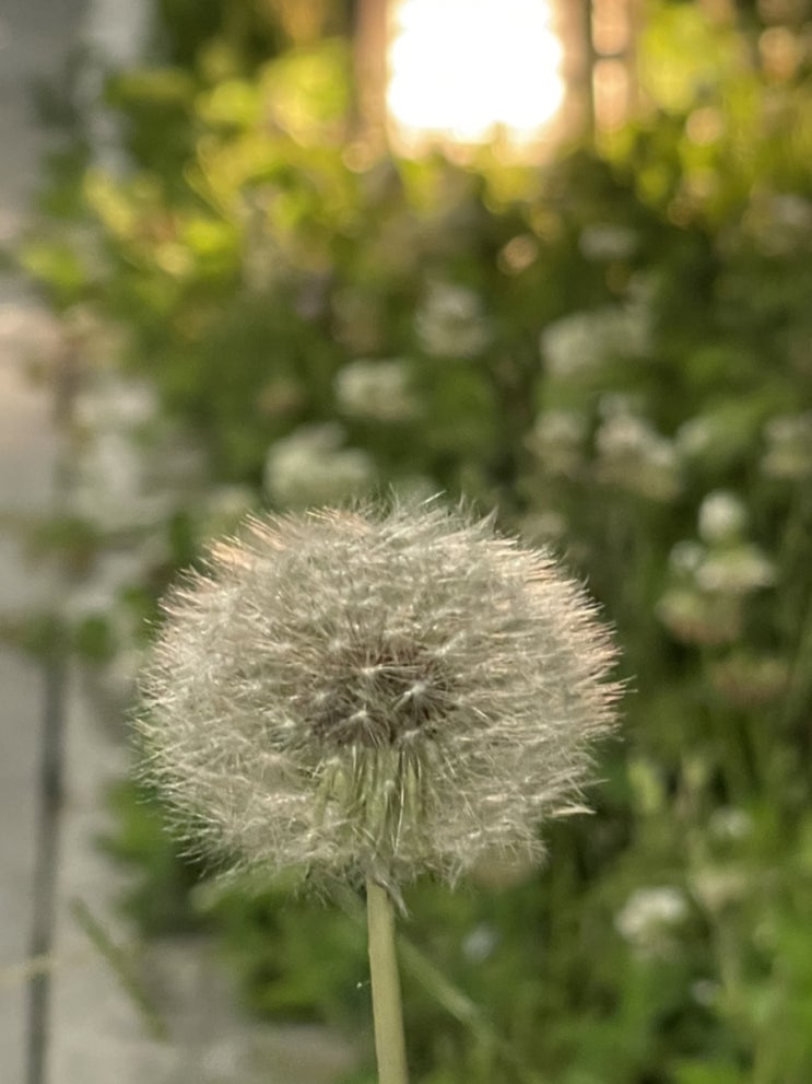  [산재보상]장해급여 지급요건과 청구(장해등급의 판정)관련법제다운로드