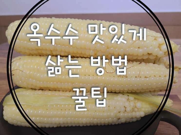  여름 제철음식 옥수수 맛있게 삶는 방법 꿀팁