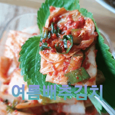  여름배추김치 전라도 김치 추천 김가네 김치 주문 리뷰