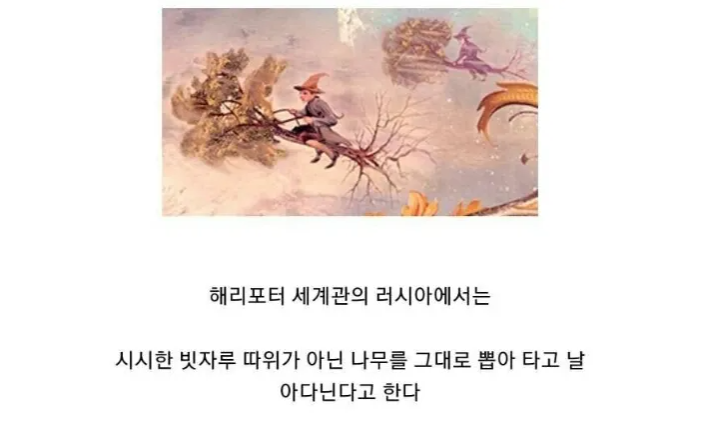  러시아판 해리포터