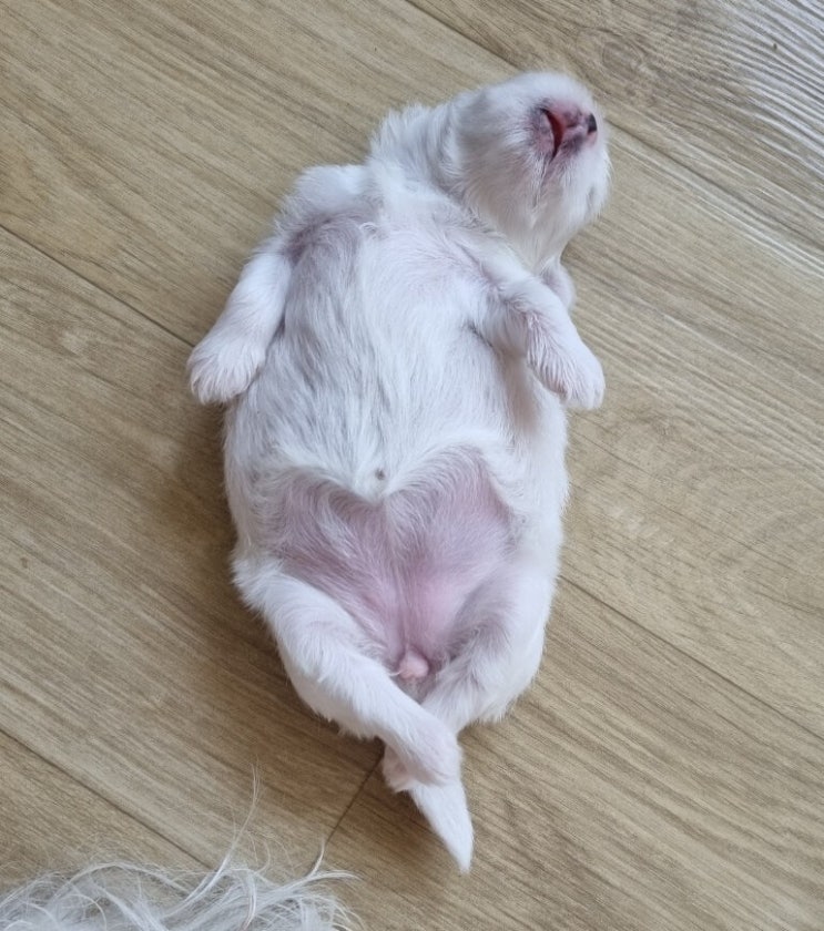  [베리일기] 10일차 환경에 적응하다