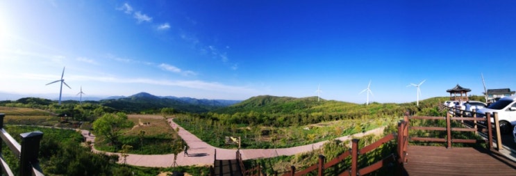 경주 토함산 - 일몰이 예쁜 바람의 언덕 수목경관숲 풍력발전단지