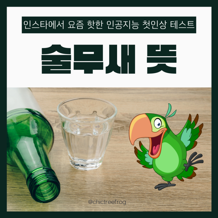 술무새 뜻, 인스타에서 핫한 인공지능 첫인상 테스트 재밌어요 술무새 뜻, 인스타에서 핫한 인공지능 첫인상 테스트 재밌어요