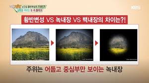 백내장 녹내장비교차이점 원인증상 진단방법 예후합병증 수정체혼탁 안압상승 시력상실 백내장 녹내장비교차이점 원인증상 진단방법 예후합병증 수정체혼탁 안압상승 시력상실