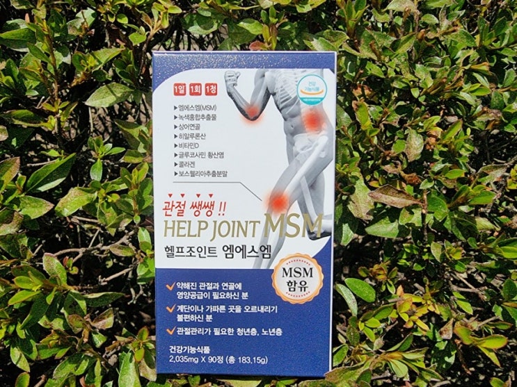 MSM 글루코사민 관절영양제 선물로 딱이에요