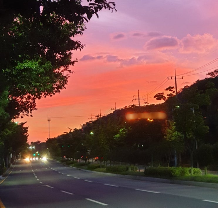  여름밤 딸과 노을산책