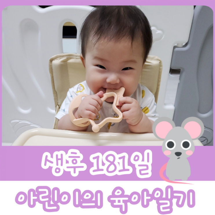 181일차 - 대상 영속성 놀이 / 6개월 아기 수면시간