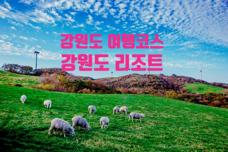 강원도 여행코스 이곳만은 꼭 :: 강원도 리조트 최저가 예약하는 방법 강원도 여행코스 이곳만은 꼭 :: 강원도 리조트 최저가 예약하는 방법