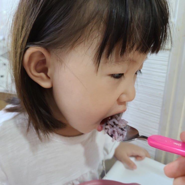  802일 육아일기 배빵빵 먹보 뽐비