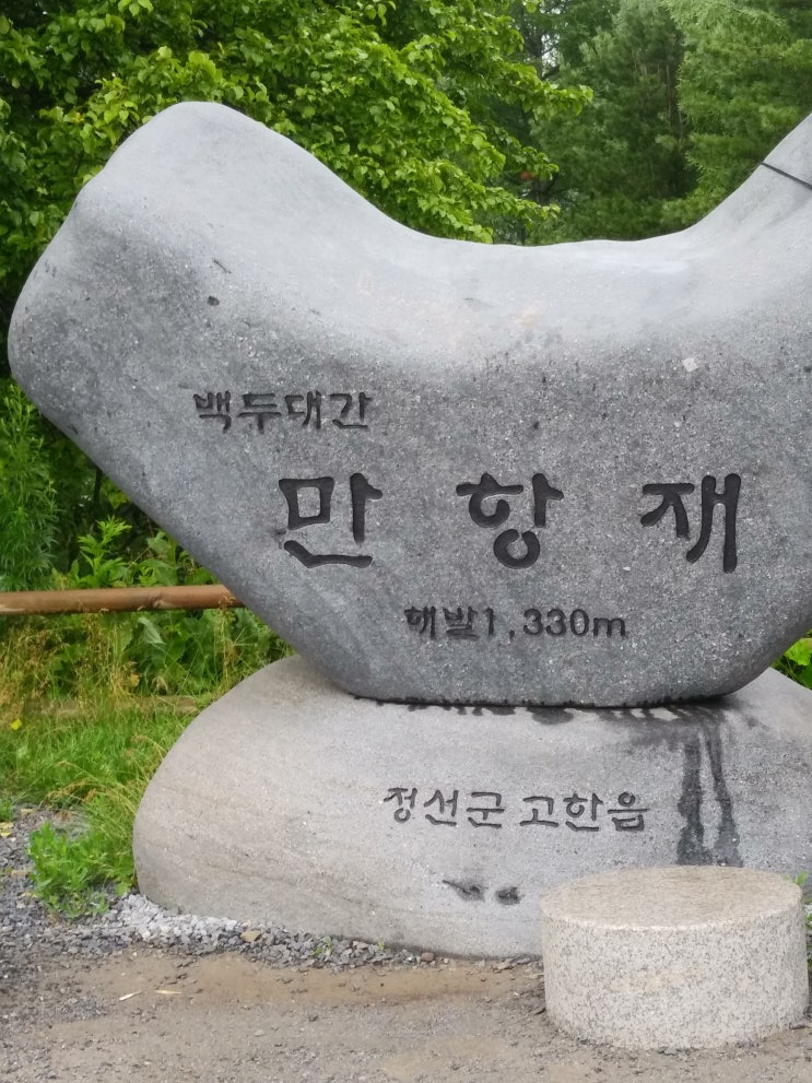 태백 가볼만한 곳 '만항재' 여름에도 시원한 만항재가는길