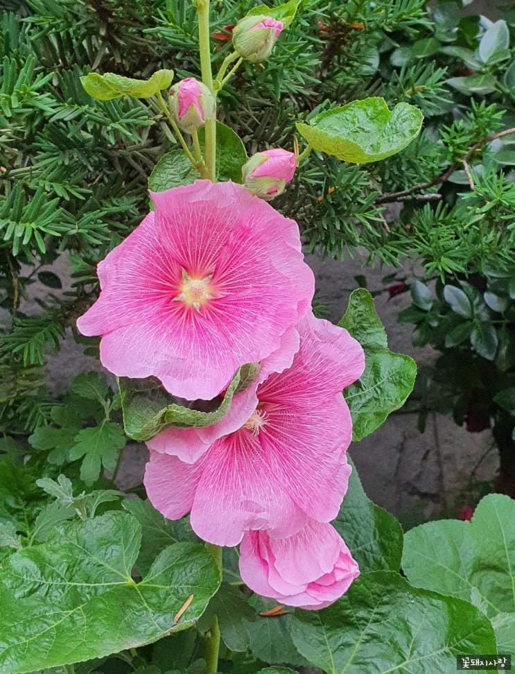  목적이 이끄는 삶, Day 4