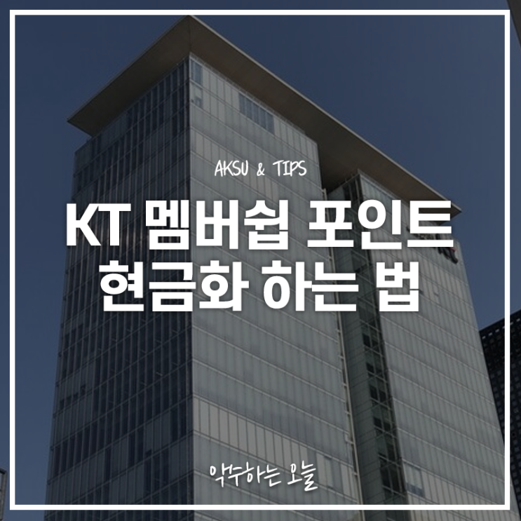 kt포인트 현금화로 알뜰하게 남은 포인트 사용하는 법