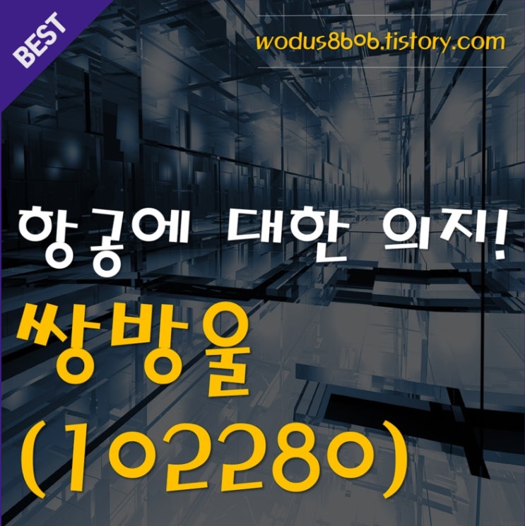  항공에 대한 강력한 의지!! 쌍방울(102280) 호재 및 주가 분석 정리