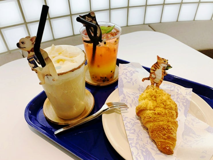  연남동 카페 맛집, 애견동반카페 /공드린 티카페