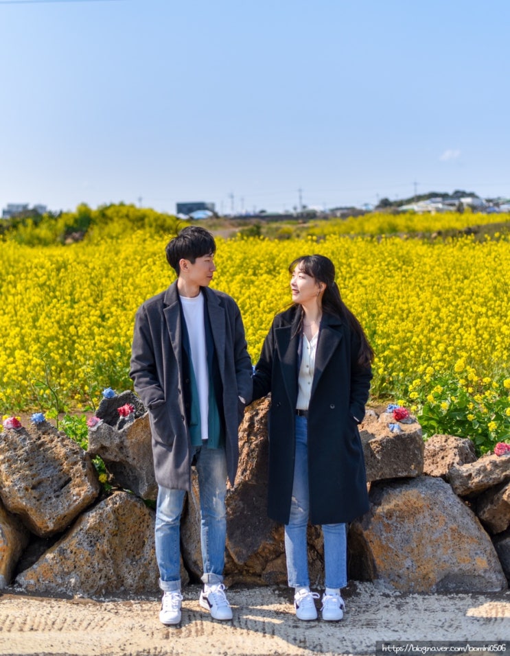  유채꽃밭에서