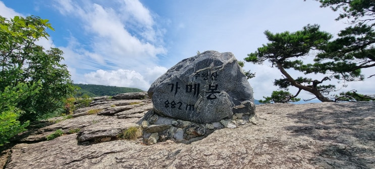 정글 주왕산 정글 주왕산