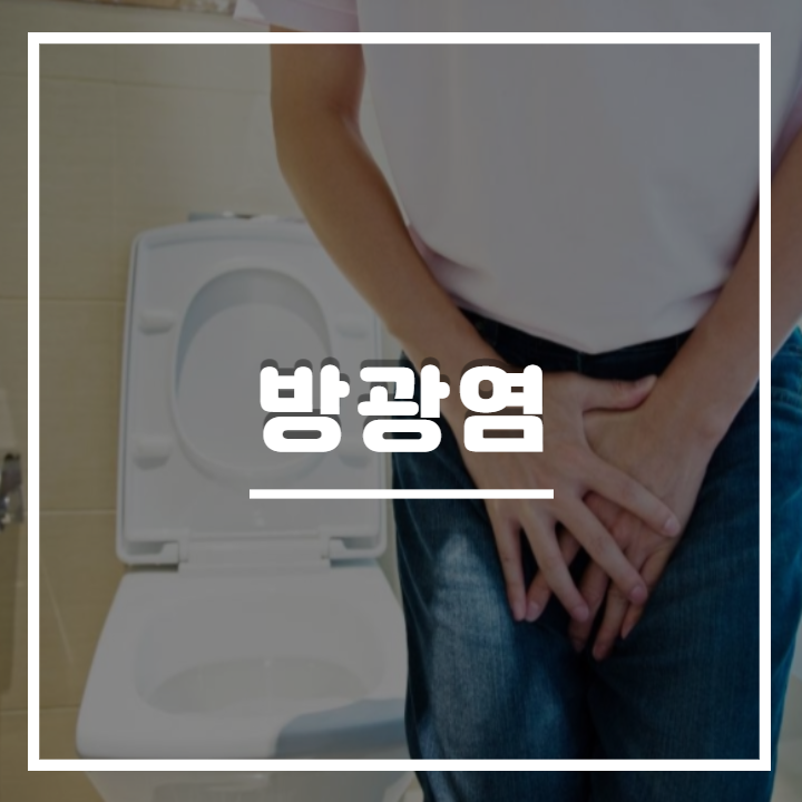 여자 남자방광염 원인과 증상 항생제 치료가 필요할까? 1
