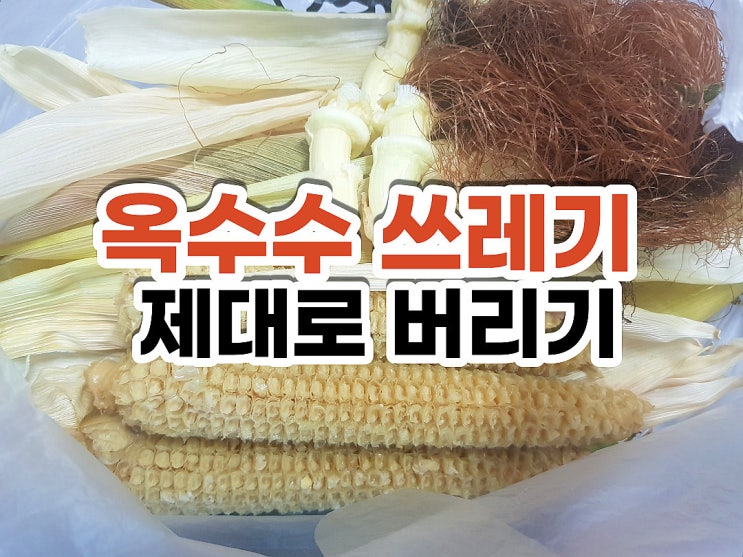  옥수수심 쓰레기 옥수수대 쓰레기 옥수수 해체해서 잘  버리기