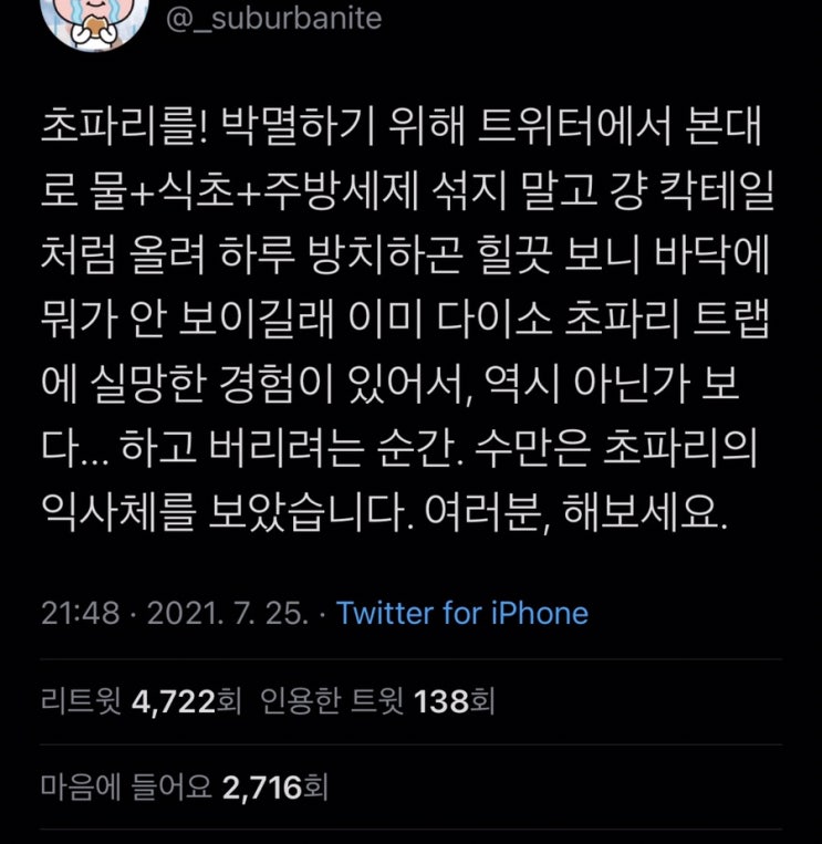 초파리 박멸 트랩 만드는 법