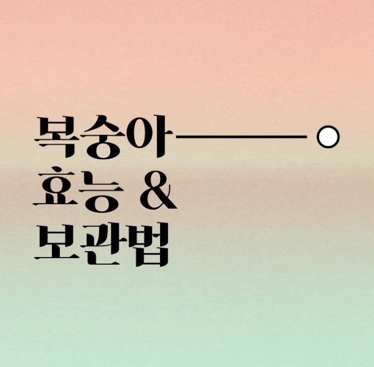  7월 제철맞은 복숭아 효능과 보관법에 대해 알아보자.