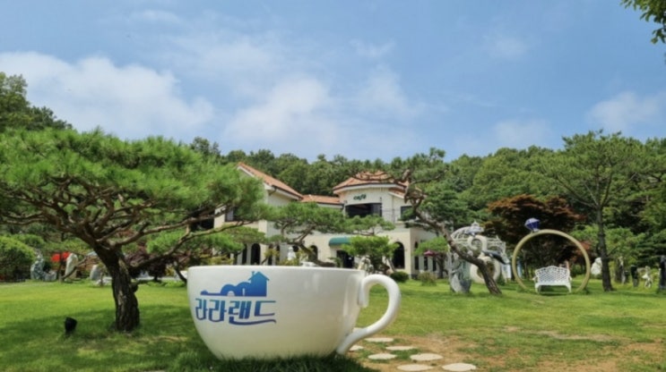  대부도라라랜드 애견동반