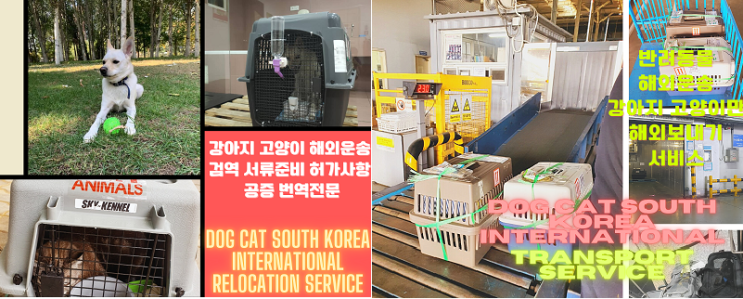 강아지 고양이 출입국 검역 통관 일등서비스 코로나 시대 반려동물을 해외로 보내야 한다면? 펫트레블코드