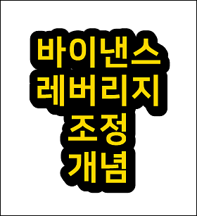  바이낸스 레버리지 조정 개념 쉽게 알아보자
