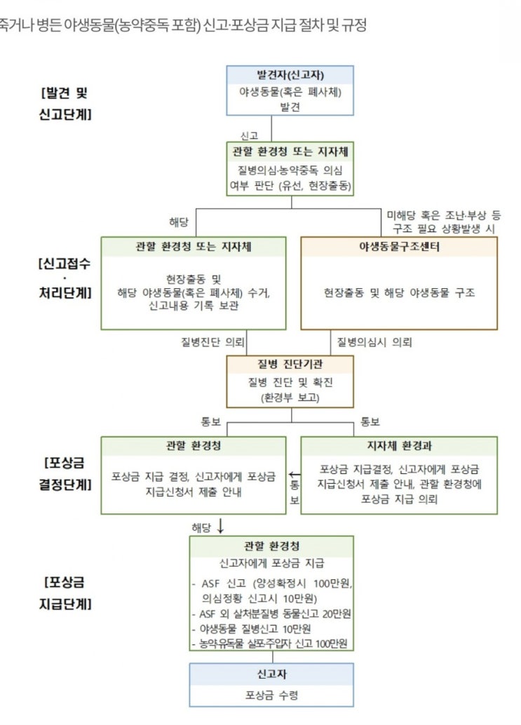  야생동물 포상금 알고계셨나요?