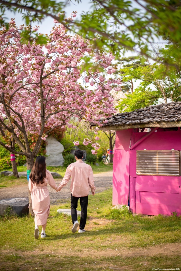  보령에서