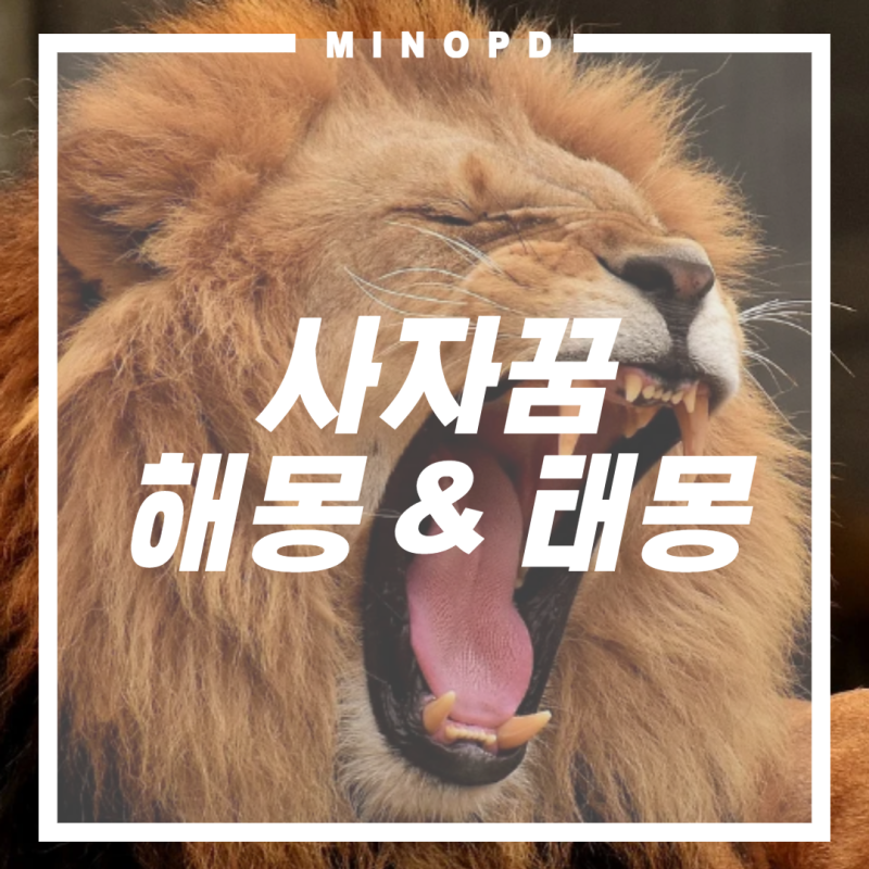 아기사자꿈과 사자에게 물리는 꿈해몽