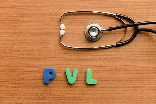뇌실주위백질연화증(PVL; periventricular leukomalacia)