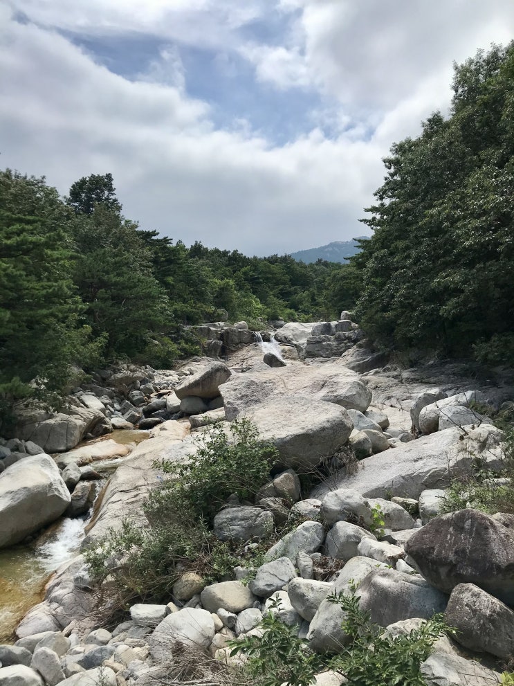 강원도 가볼만한곳 3박4일 가족여행 둘째날 켄싱턴리조트 설악밸리 천진천 워터데크