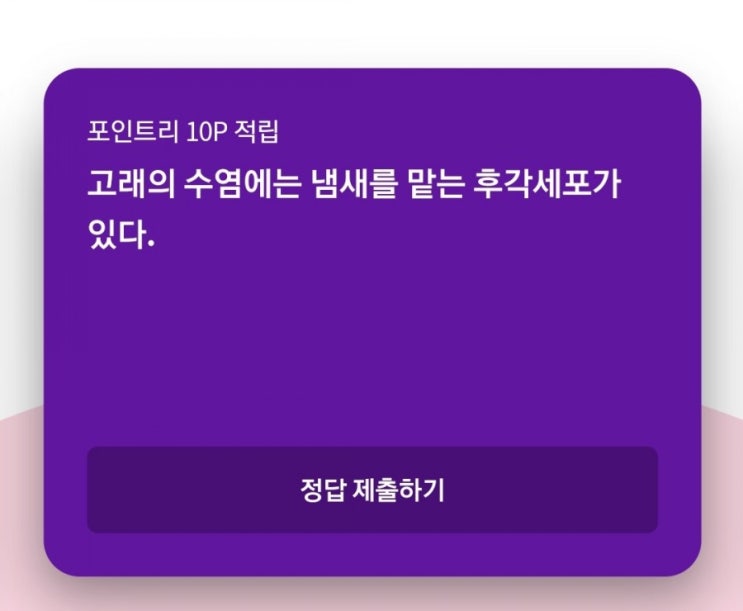  7월 26일(월)ㆍ리브메이트 오늘의 퀴즈정답!
