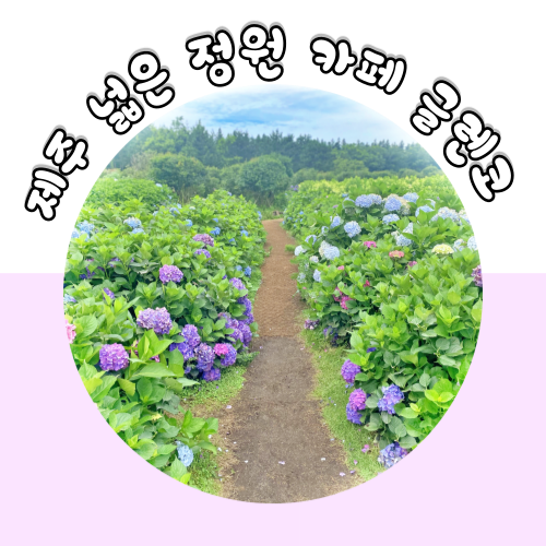  제주 꽃카페 대지가 넓어 좋은 정원 카페글렌코