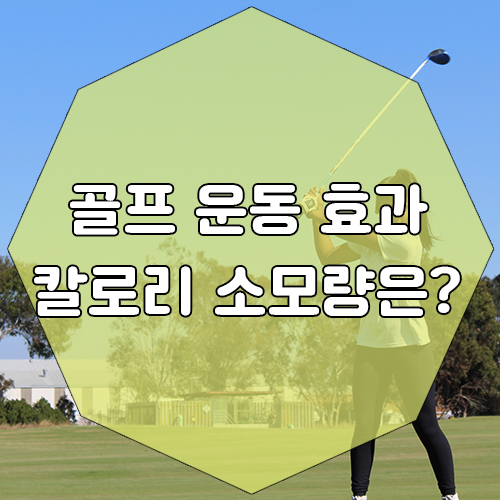  골프 운동효과와 칼로리 소모량은 어떻게 될까?