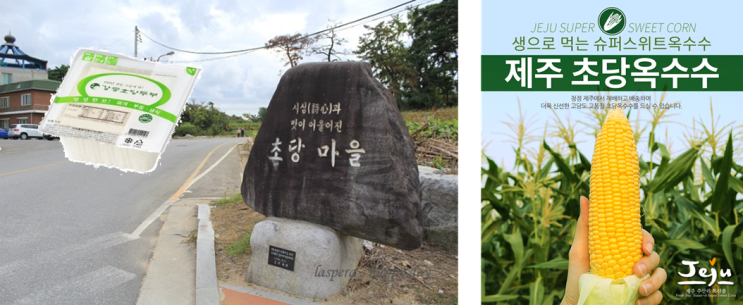  강릉 초당 두부의 초당과 제주 초당 옥수수의 초당은 다른 뜻이다.