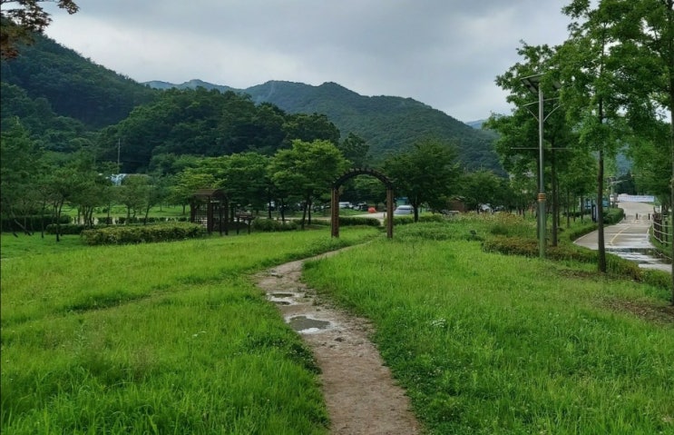 돌아봄  / 오던길  가야할길  바라보며 멈추어 돌아봄