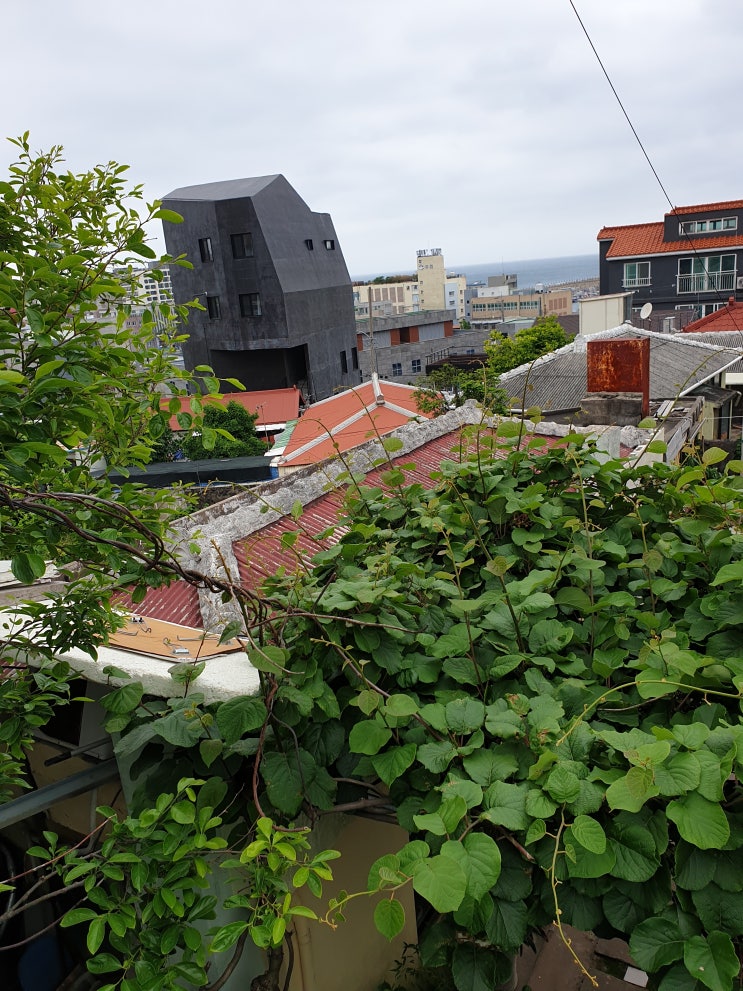  제주도 집수리/인테리어 : 이중창, 단창, 지붕개량, 외부페인트 (원도심 재생사업), 신산목공소