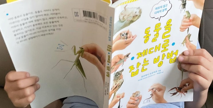  [아이책추천] 동물을 제대로 잡는 방법