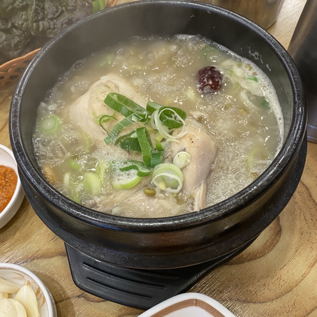  Daily (화정동 파쿠야, 운암동 약수한방삼계탕, 동명동 명당, 청년다방)