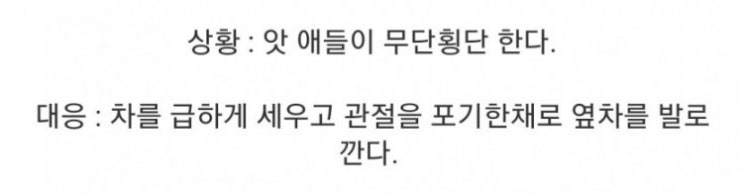  러시아식 아이 구출