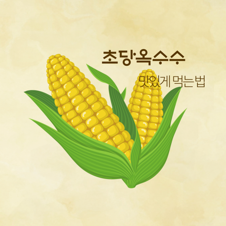  '초당 옥수수' 효능
