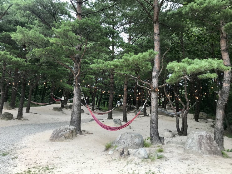 강원도 가볼만한곳 3박4일 가족여행 셋째날 켄싱턴리조트 설악밸리 힐링 해먹숲