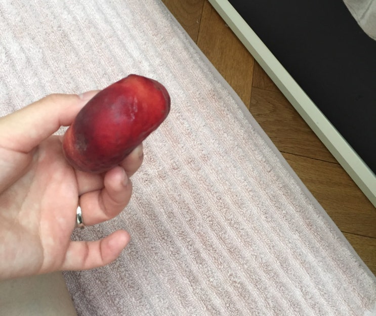  대극천 납작복숭아, 체코여행때 맛있게 먹었었는데 국내에서도 이제 먹어볼 수 있네요.