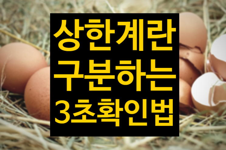  3초만에 계란 상했는지 알수있는 확실한 방법