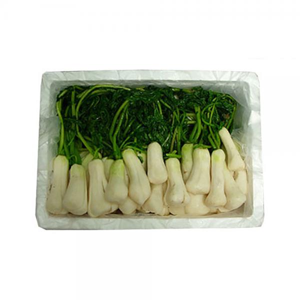 선호도 좋은 (경기오픈마켓)남도청정 절임알타리 9kg, 배송메모에 날짜를 적어주세요 ··· 선호도 좋은 (경기오픈마켓)남도청정 절임알타리 9kg, 배송메모에 날짜를 적어주세요 ···